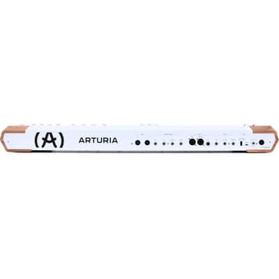 Arturia AstroLab Avant-garde 61-Key Stage Keyboard Bundle w/ 2-Pack Pig Hog PMID06 6ft MIDI Cable, Liquid Audio Sustain Pedal and Liquid Audio Polishing Cloth image 5
