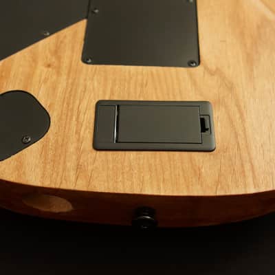 Custom Ibanez Guitar RG570 Wizard neck Original Edge EMG 81 image 14