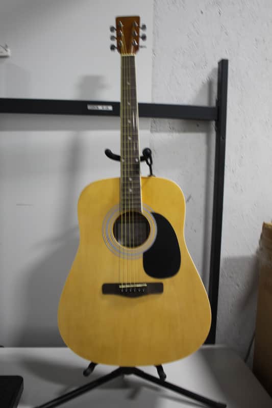 Zager Easy Play ZAD01PK N Acoustic Guitar image 1