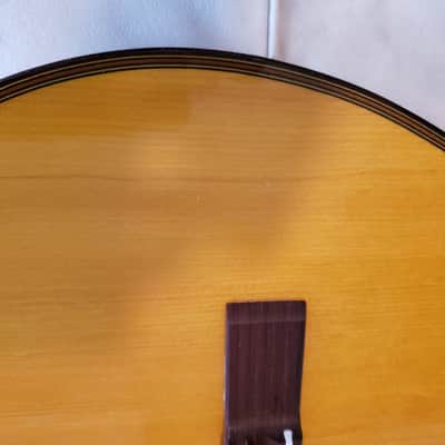 Giannini GN60 - 1960's nylon classical guitar - Brazilian image 22
