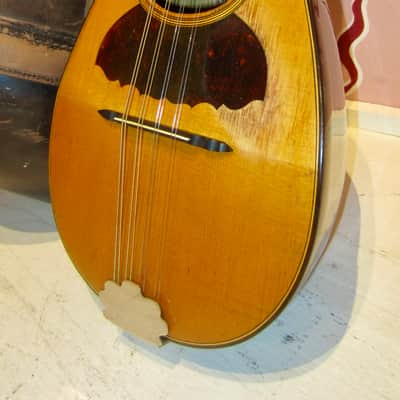 Ditson "Empire" Bowl Back Mandolin 1920s - Natural w/ Crazy Original Case! image 2