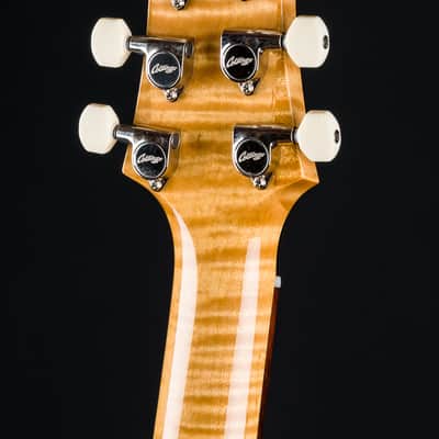 Collings 360 LT M Ash Doghair with Jazzmaster Pickups NEW image 22