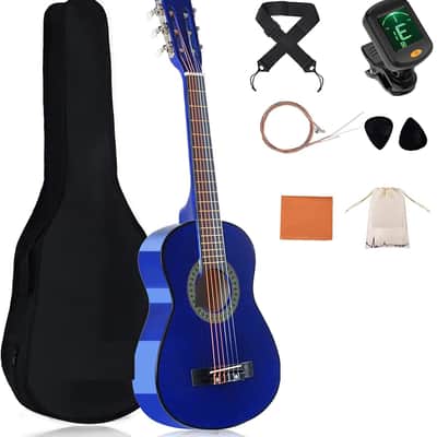 Acoustic Guitar Gig Bag Alhambra 9739 For Sale
