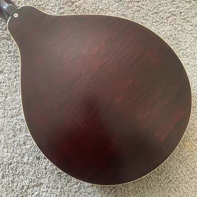 Sunburst 8 String Mandolin, Spruce Top Body, Mahogany Neck image 10