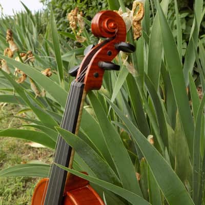 Crow Creek Fiddles Handmade Professional Violin, Red-Brown, With Beautifully Flamed Maple! image 18