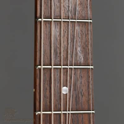 Hamer Diablo II 1994 image 7