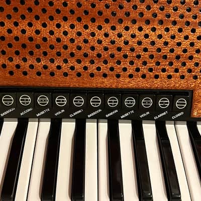 Iorio Accordion Double chamber image 7