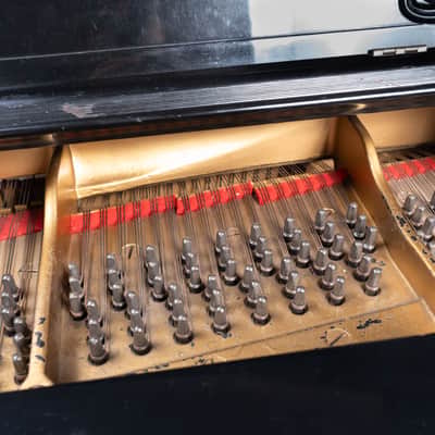 Steinway And Sons B Piano 1905 - Mahogany image 12