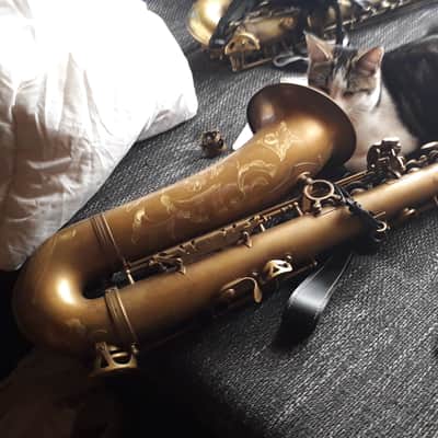 Bauhaus Walstein M2 Pro Earth Series tenor sax image 1