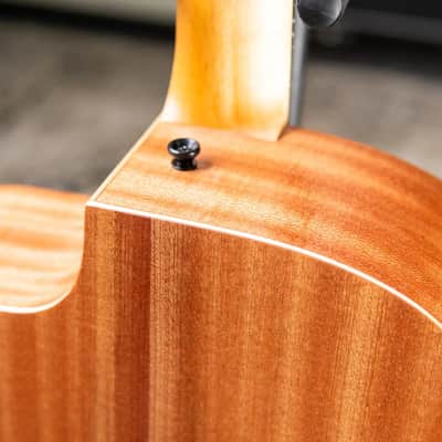 Taylor 24ce Grand Auditorium Acoustic/Electric Guitar with Gig Bag image 9