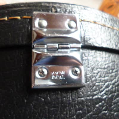 shiro sg 1971 red cherry image 11
