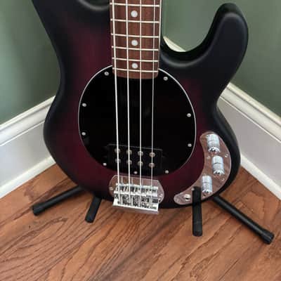 Sterling SUB SERIES StingRay Ray4 2018 - Present - Walnut Satin image 7