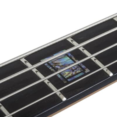 Schecter Model-T 4 Exotic Natural Satin image 16