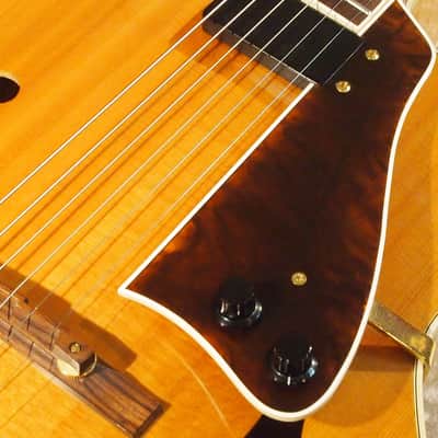 Mark Campellone [USED] Standard Series 17 Natural [GTK017] image 6