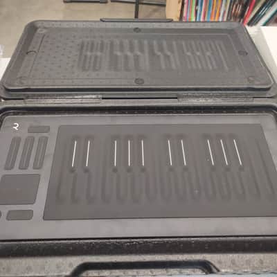 ROLI Seaboard RISE 25 2010s - Black image 2