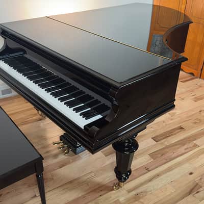 Immagine Bechstein V 1903 - Black Polish - 20