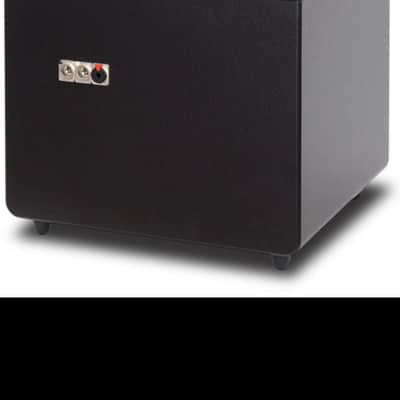 Grossmann SG-FATBOX, isolation cabinet for guitar, 2XLR image 2