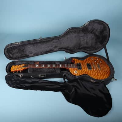 2002 Gibson USA Les Paul Hardshell Case Black Snakeskin Combination Lock Shroud image 15