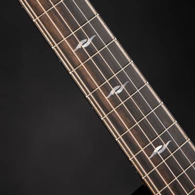 Taylor Next Generation Builder's Edition 814ce Blacktop - Adirondack Spruce & Indian Rosewood #1207166004 image 9