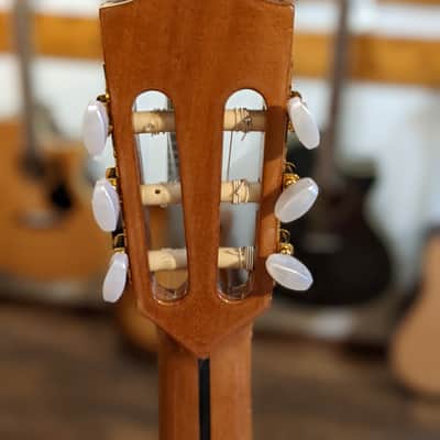 Alhambra CS-2 CW E2 Crossover Classical Guitar w/Case (Used) image 4
