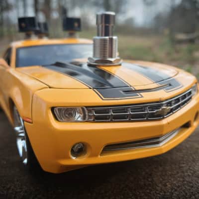 Bumblebee image 5