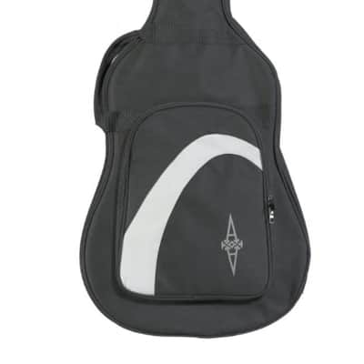 ALVAREZ RD26S-AGP Alvarez Regent Dreadnought NAT Finish Acoustic Guitar Pack w/Gig-bag Tuner Strap Cloth Picks packed in Alvarez box image 11