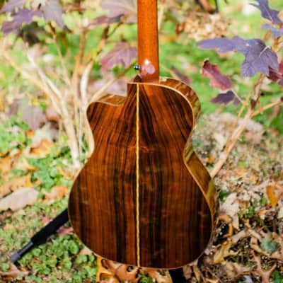 Schoenberg OMC soloist ES-15 by B. Sexauer 2006 Brazilian German image 1