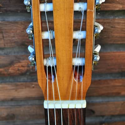 Francisco Manuel Diaz Classic guitar image 6