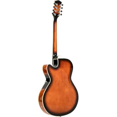 Gold Tone Mandocello Archtop in Sunburst with Case image 3