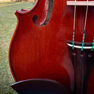 Powerful! Italian Violin by Gianluca Zanetti of Cremona, Italy 4/4 *Watch Video -Extremely Rare Violin image 9