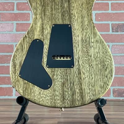 PRS 40th Anniversary Special Semi-hollow 22 Limited Edition Electric Guitar - Faded Blue Whale (Natural Back) image 14