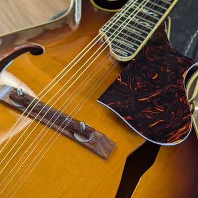 Hondo HM-5 F-Style Mandolin Vintage 1970s Sunburst MIJ W/OSSC Great Condition! image 5