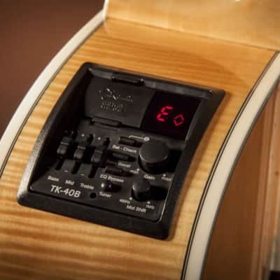 Takamine GB72CE G Series Acoustic Bass - Rosewood Fingerboard, Natural image 4