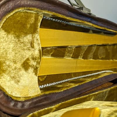 Very Rare Luxury Lifton Vintage Violin Case MINT image 11