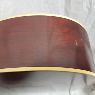 Vintage 80's (Japan) Saga DG100S Selmer Manouche Gypsy Jazz image 24