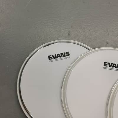 Evans Drum Head UV1 / UV2 - 10'' Coated, Kit of 3 image 3