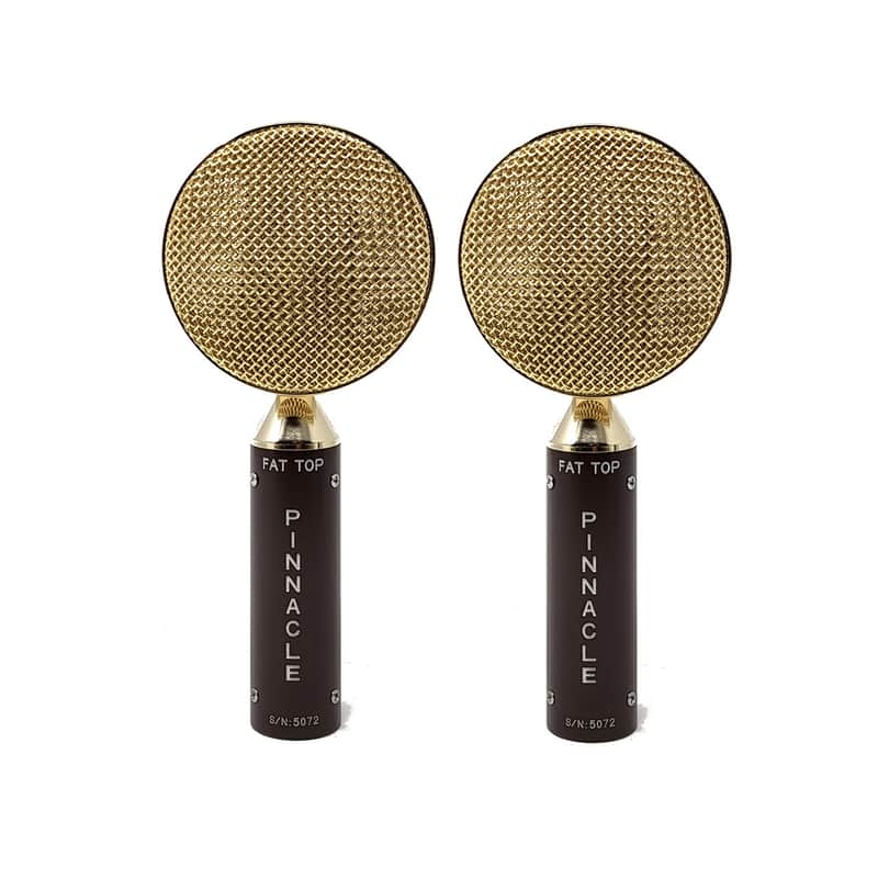 Pinnacle Microphones D-FT-ST-G Fat Top Ribbon Microphone Stereo Pair image 1
