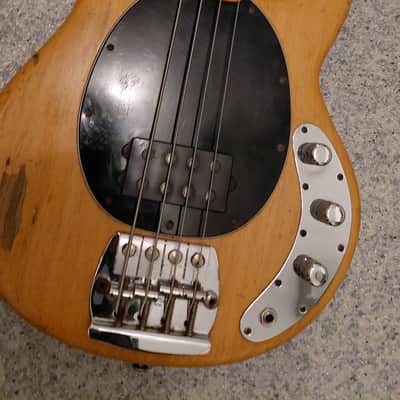 Music Man Stingray 1978 - natur image 2