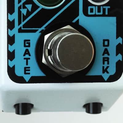 RAINGER FX REVERB-X DIGITAL REVERB & IGOR MINI PEDAL : BRAND NEW :  [DETROIT MODULAR] image 3