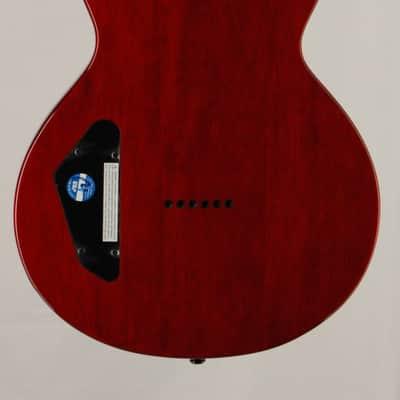 ESP LTD EC-201FT See Thru Black Cherry 2024 - See Thru Black Cherry image 4