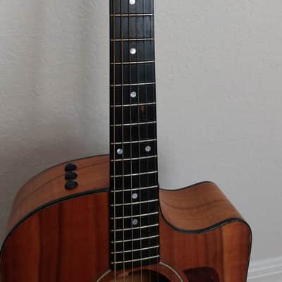 Taylor 320-CE-L10 Fall Limited Edition Solid Koa 2005 image 5