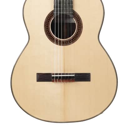 Mach Concert Standard Spruce Rosewood image 1