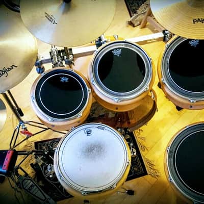 Peavey Radial Pro 1000 Clear Maple image 2