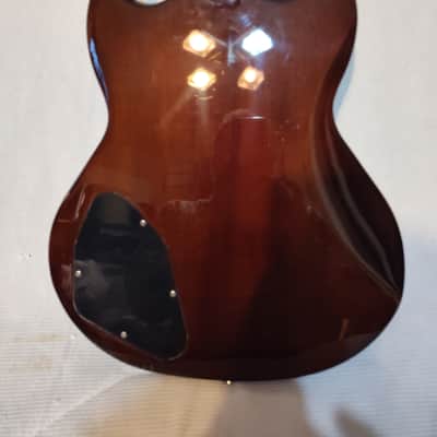 Jay Turser JT50 Set Neck Very Solid Guitar image 7