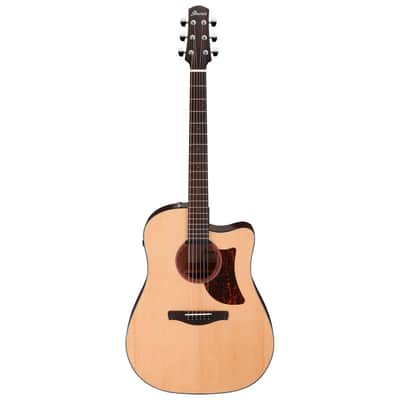 Ibanez AAD170CE-LGS image 1