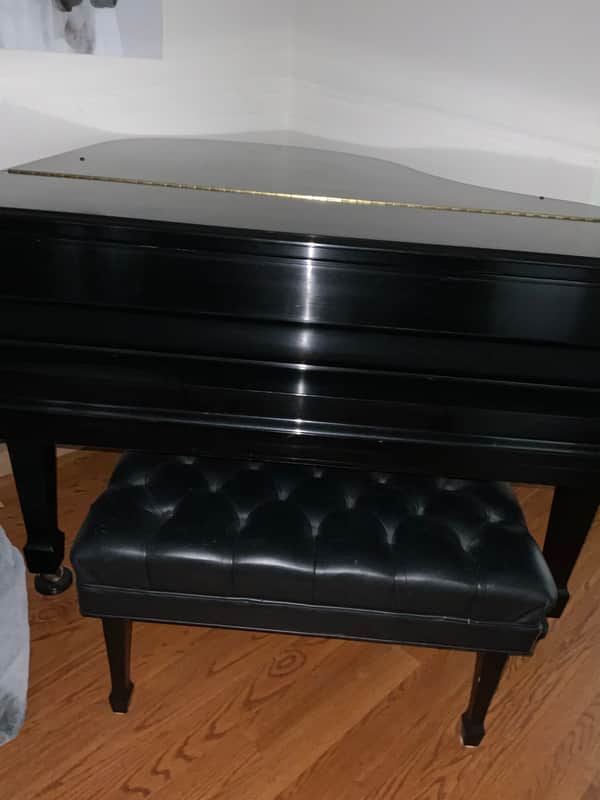 Steinway Model M with matching leather bench - Ebony image 1