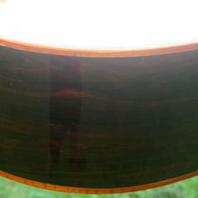 1976 Takamine Elite TW100 Jacaranda Body Natural+Vintage Hard Case image 12