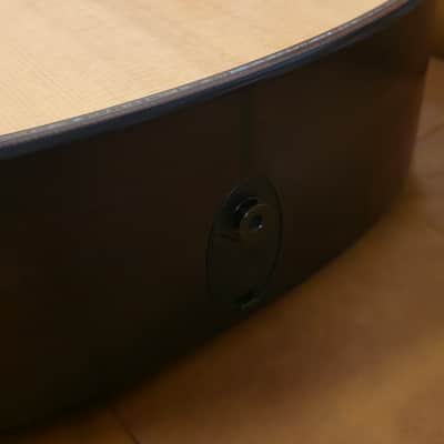 Taylor Builders Edition K14ce 2018 image 6