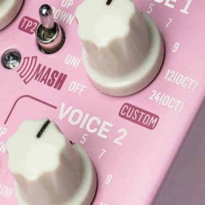 TC Electronic Brainwaves exceptional Pitch Shifter with Studio-Grade Algorithms, 4 Octave Dual Voices and Groundbreaking MASH Footswitch image 2