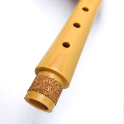 Soprano Recorder 8-Hole Treble Vertical Flute English Fingering image 6